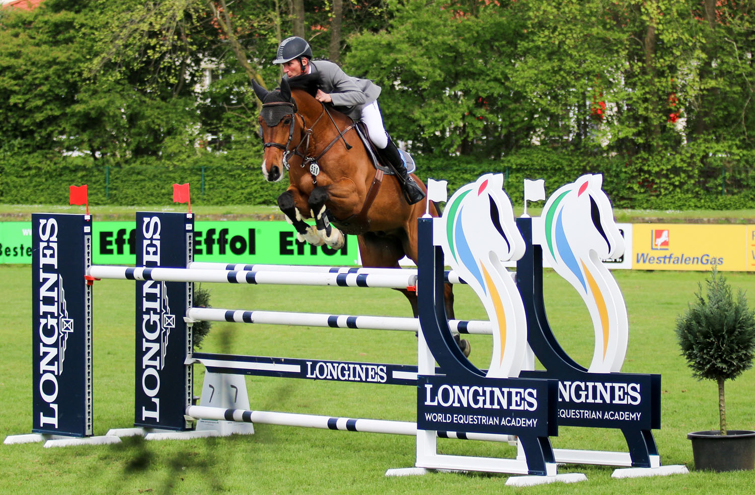 Ludger Beerbaum, Chacon, Paris Eiffel Jumping